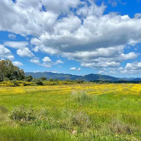 Azurella Il Paradiso E Qui Pula