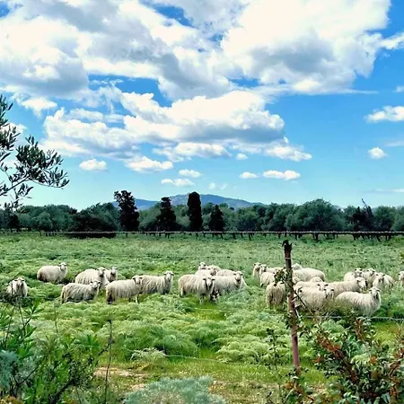 Azurella Il Paradiso è Qui Villa