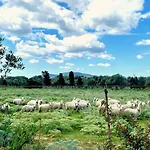 Azurella Il Paradiso E Qui Villa