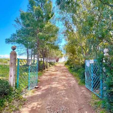 Azurella Il Paradiso E Qui * Pula
